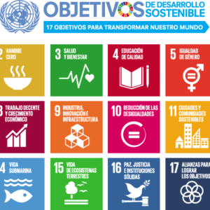 Lee más sobre el artículo OBJETIVOS DE DESARROLLO SOSTENIBLE