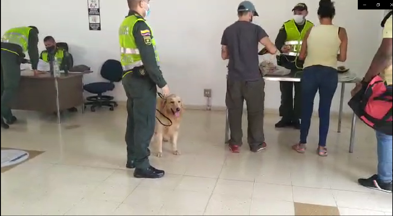 En este momento estás viendo UN BUEN MOMENTO PARA EL SANTA ANA