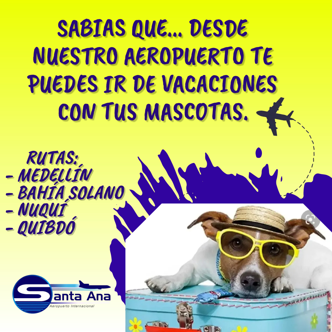 En este momento estás viendo Desde nuestro Aeropuerto puedes ir de vacaciones con tus mascotas