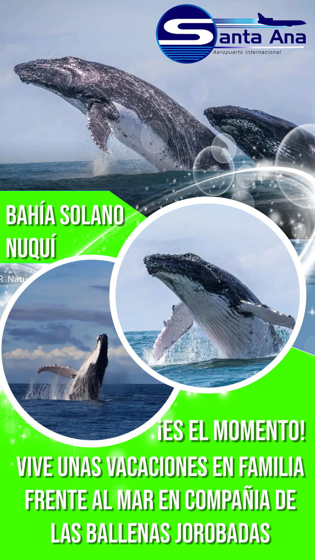 En este momento estás viendo ¡Es el momento vive unas vacaciones en familia!!