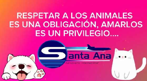 En este momento estás viendo Respetar a los animales es una obligación, amarlos es un privilegio…