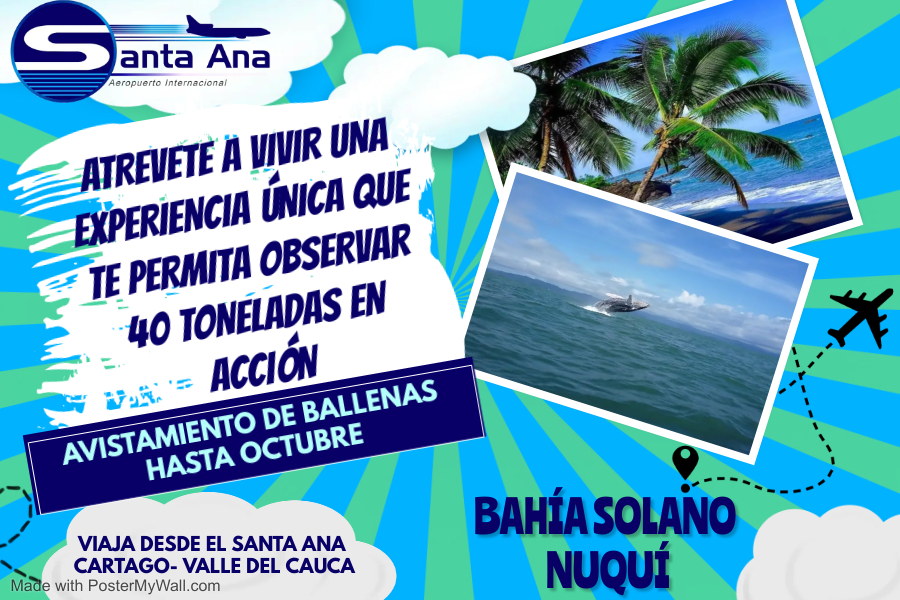 En este momento estás viendo Atrévete a vivir una experiencia única…