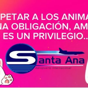 Lee más sobre el artículo Respetar a los animales es una obligación, amarlos es un privilegio