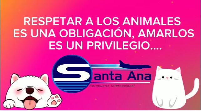 En este momento estás viendo Respetar a los animales es una obligación, amarlos es un privilegio
