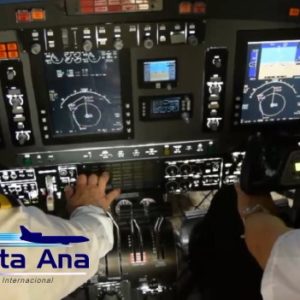 Lee más sobre el artículo SIMULADORES DE AVION EN EL SANTA ANA