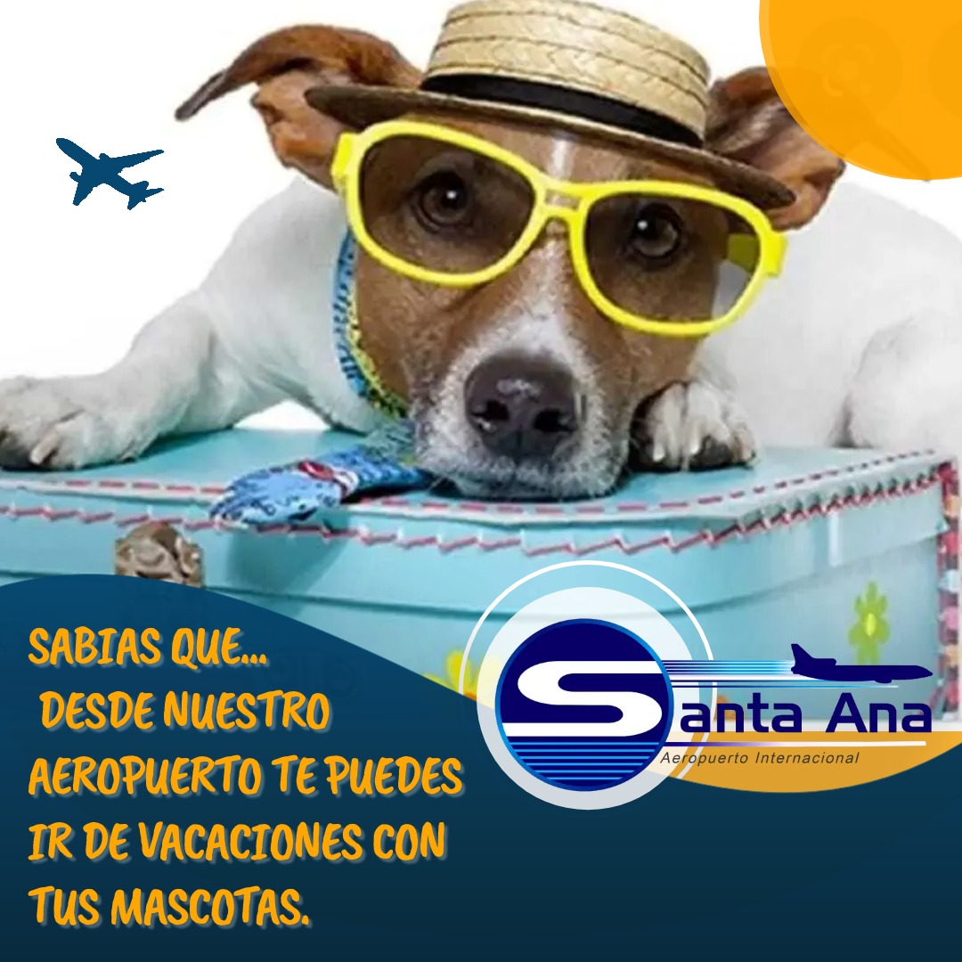 En este momento estás viendo DESDE NUESTRO AEROPUERTA SANTA ANA PUEDES VIAJAR CON TU MASCOTA